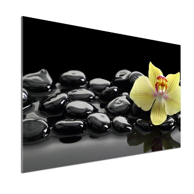 Sklenený panel do kuchynskej linky Orchidea