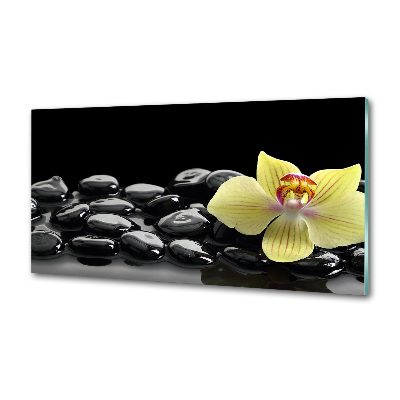 Sklenený panel do kuchynskej linky Orchidea