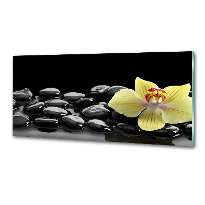 Sklenený panel do kuchynskej linky Orchidea