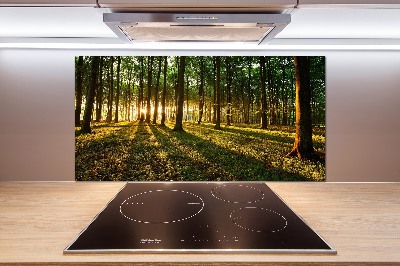 Panel do kuchyne Slnečné lúče