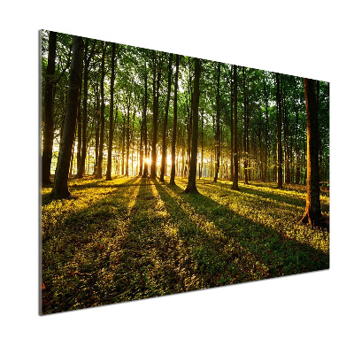 Panel do kuchyne Slnečné lúče