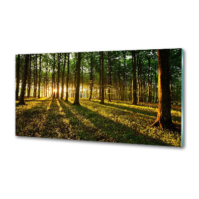 Panel do kuchyne Slnečné lúče