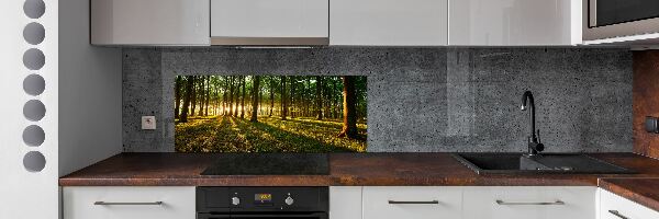 Panel do kuchyne Slnečné lúče