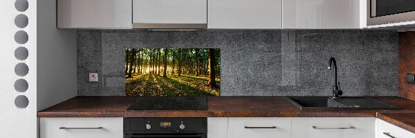 Panel do kuchyne Slnečné lúče