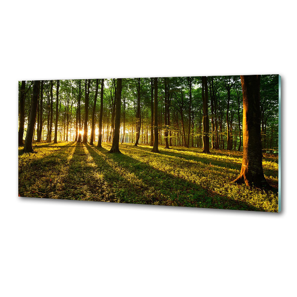 Panel do kuchyne Slnečné lúče