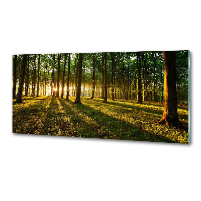 Panel do kuchyne Slnečné lúče