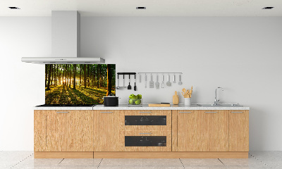 Panel do kuchyne Slnečné lúče