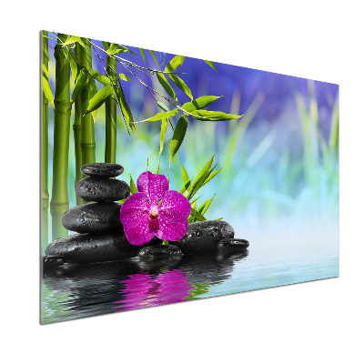 Panel do kuchyne Orchidea bambus