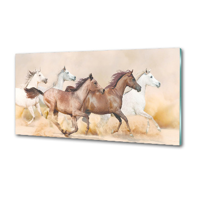 Panel do kuchyne Kone v cvale