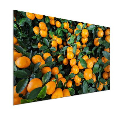 Dekoračný panel sklo Mandarínky