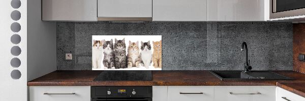Dekoračný panel sklo Šesť mačiek