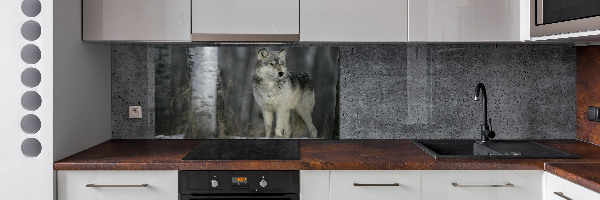 Dekoračný panel sklo Sivý vlk