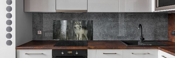Dekoračný panel sklo Sivý vlk