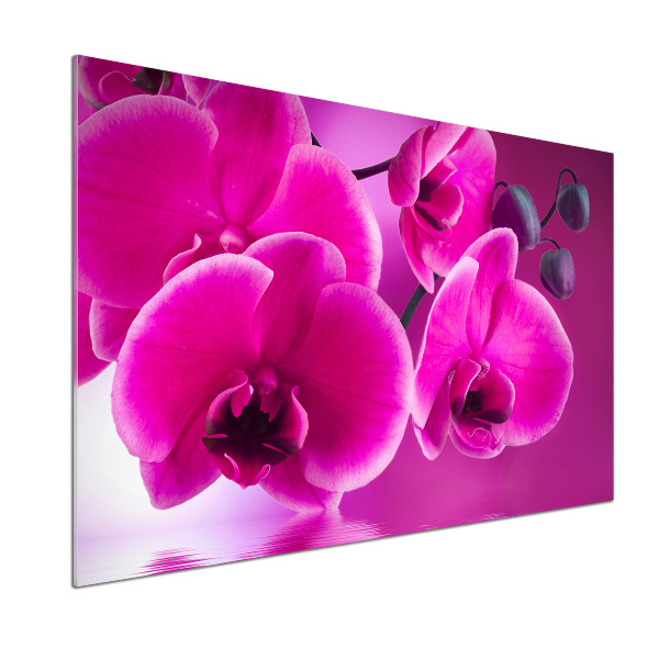 Sklenený panel do kuchynskej linky Orchidea