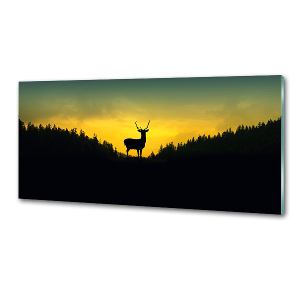 Sklenený panel do kuchyne Jeleň