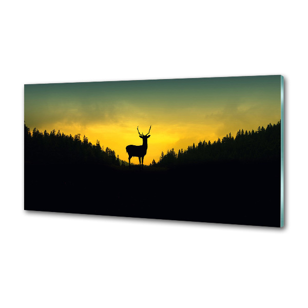 Sklenený panel do kuchyne Jeleň