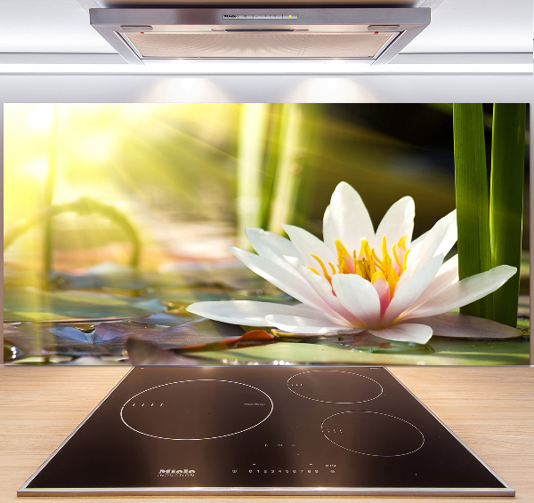 Dekoračný panel sklo Vodné ľalie