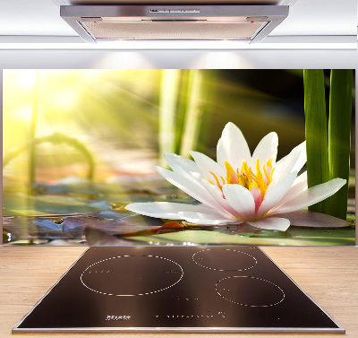 Dekoračný panel sklo Vodné ľalie