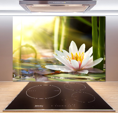 Dekoračný panel sklo Vodné ľalie