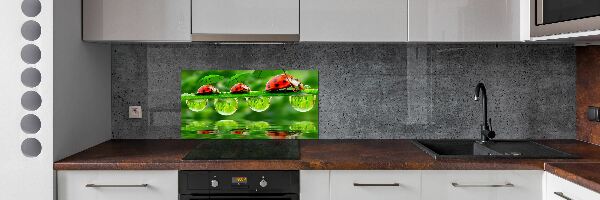 Panel do kuchyne Lienky dáždniky