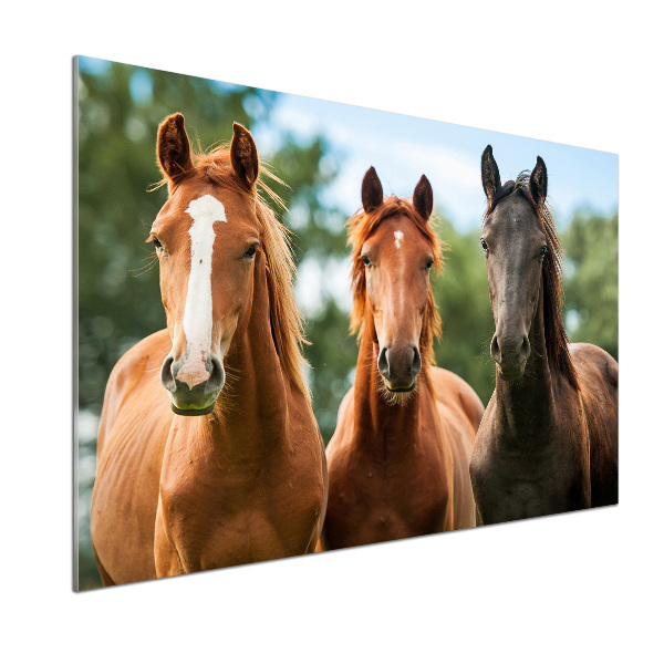 Dekoračný panel sklo Tri kone
