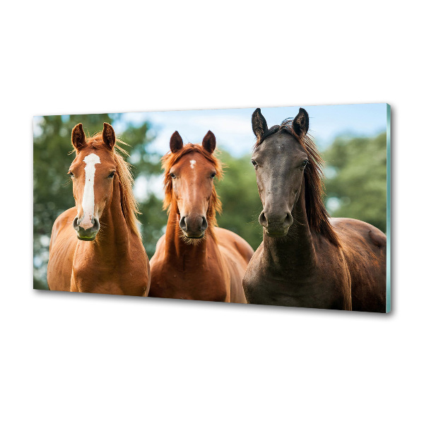 Dekoračný panel sklo Tri kone