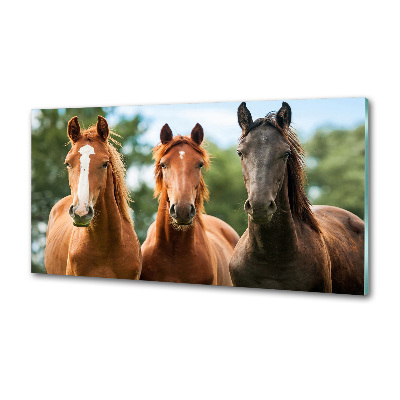 Dekoračný panel sklo Tri kone