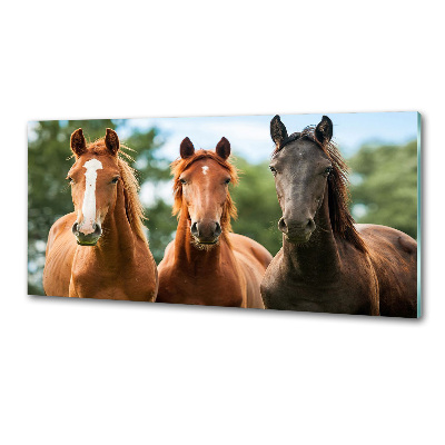 Dekoračný panel sklo Tri kone