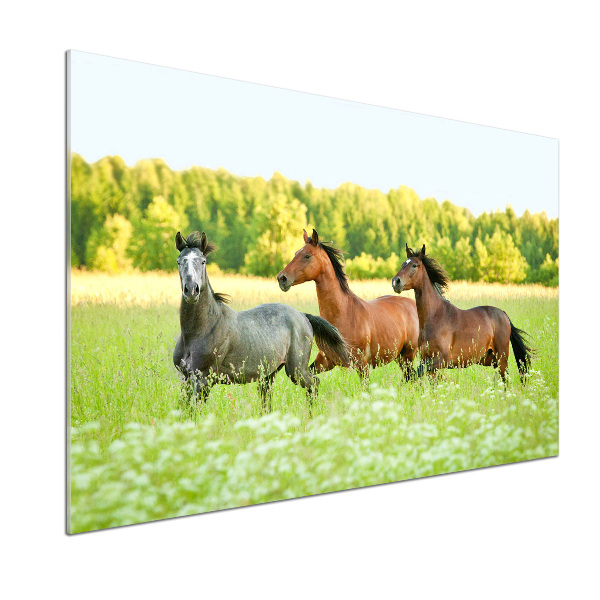 Panel do kuchyne Kone v cvale