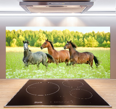 Panel do kuchyne Kone v cvale