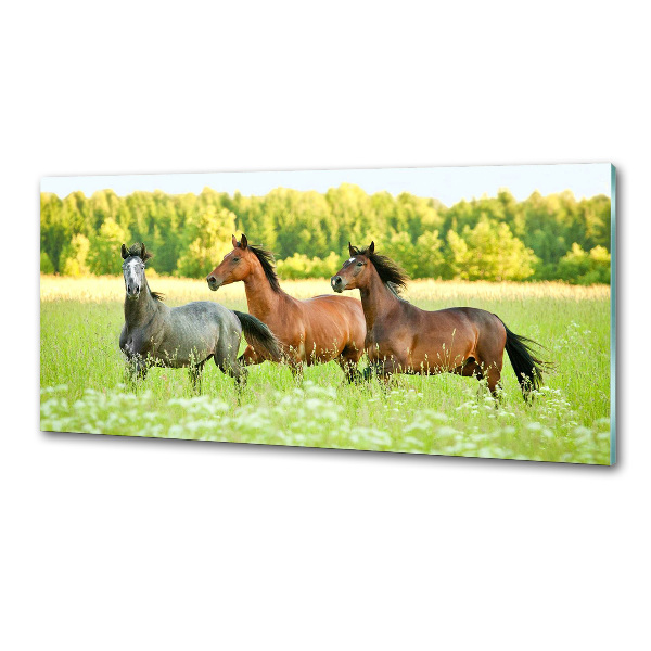 Panel do kuchyne Kone v cvale