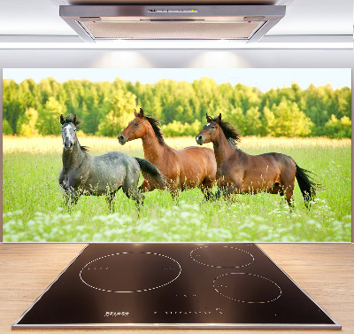 Panel do kuchyne Kone v cvale