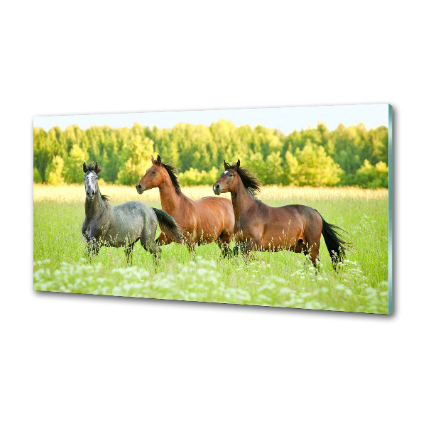 Panel do kuchyne Kone v cvale