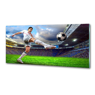 Panel lacobel Futbalista na štadióne