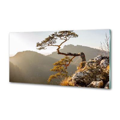 Panel do kuchyne Sokolice Pieniny
