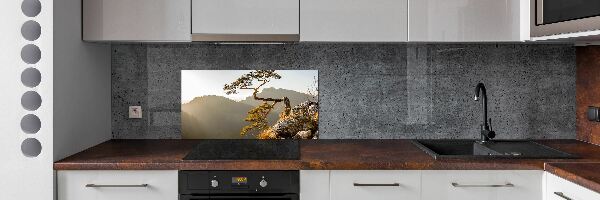 Panel do kuchyne Sokolice Pieniny
