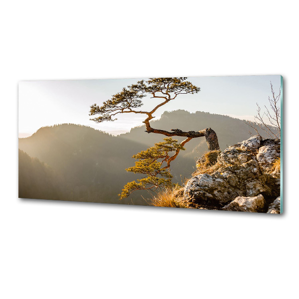 Panel do kuchyne Sokolice Pieniny