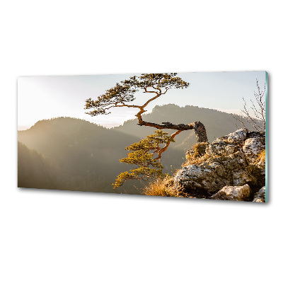 Panel do kuchyne Sokolice Pieniny