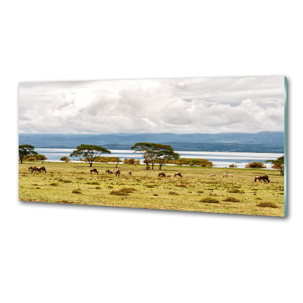 Panel do kuchyne Jazero Naivasha