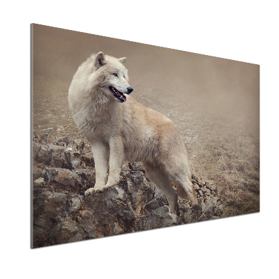 Panel lacobel Biely vlk na skale