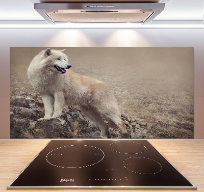 Panel lacobel Biely vlk na skale