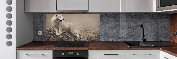 Panel lacobel Biely vlk na skale