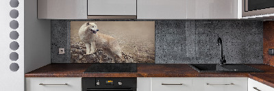 Panel lacobel Biely vlk na skale