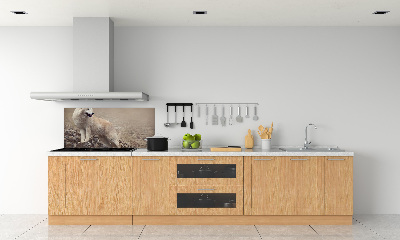 Panel lacobel Biely vlk na skale