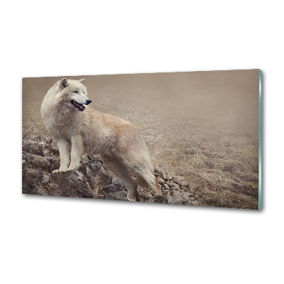 Panel lacobel Biely vlk na skale