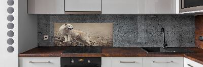Panel lacobel Biely vlk na skale