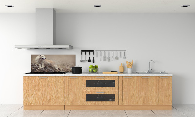Panel lacobel Biely vlk na skale