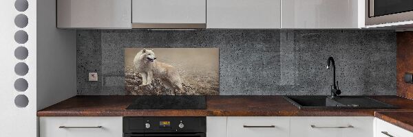 Panel lacobel Biely vlk na skale