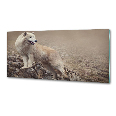 Panel lacobel Biely vlk na skale