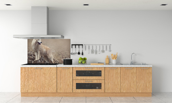 Panel lacobel Biely vlk na skale